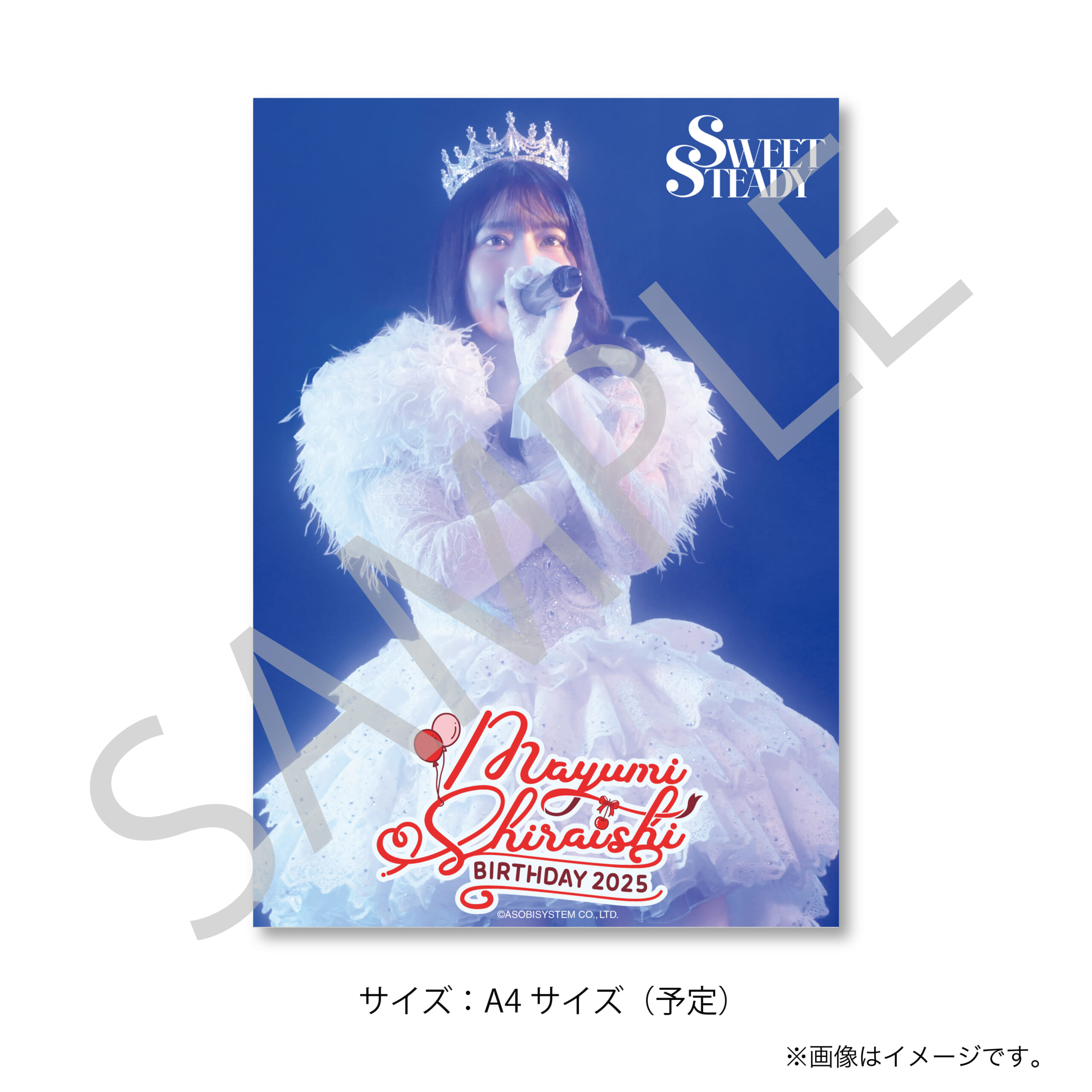 白石まゆみ生誕すきくじ2025 A賞、Ｃ賞、Ｄ賞セット SUKISUKI